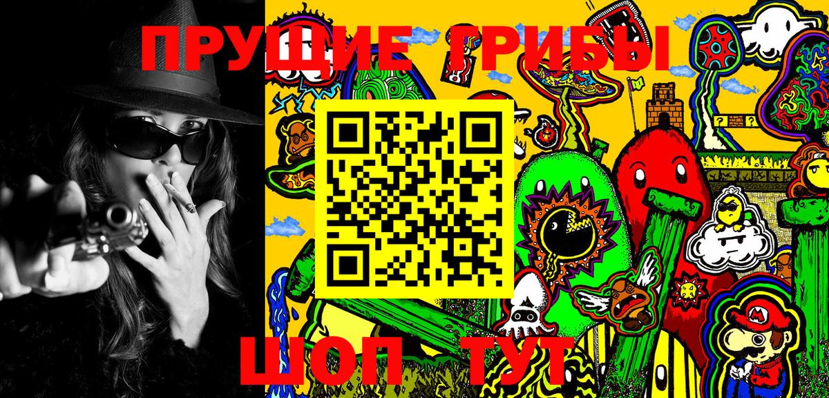 закладки  Галлюциногенные грибы Psilocybe  Вход с VPN  Зеленокумск  Галлюциногенные грибы прущие грибы 
